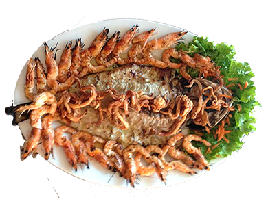 ΠΟΙΚΙΛΙΑ ΨΑΡΙ-ΓΑΡΙΔΕΣ